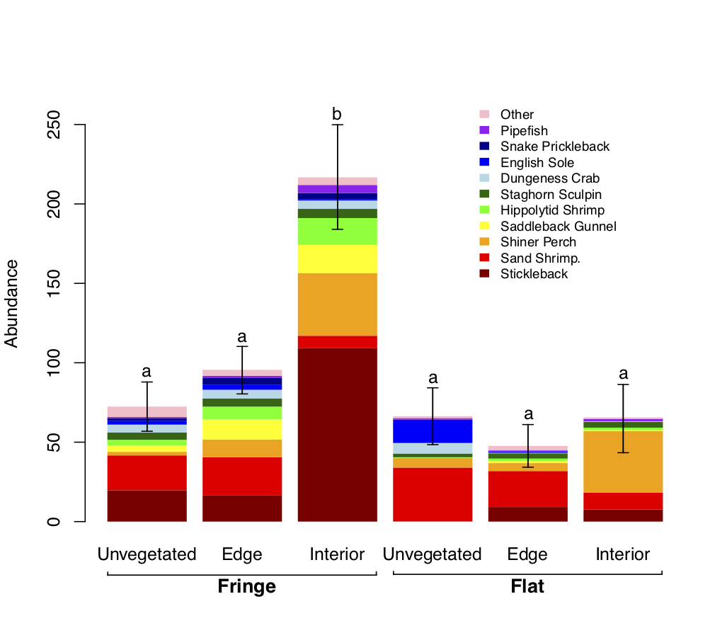 A bar graph showing habitat and eelgrass bed type on the x axis and nekton abundance on the y axis. There are six bars, each subdivided into different species by color. The first three bars represent unvegetated, edge, and interior eelgrass habitat of a fringing bed. Unvegetated and edge habitat have similarly low abundances, while interior eelgrass has a significantly higher abundance. The next three bars represent unvegetated, edge, and interior eelgrass habitat of a flat bed. All of these bars show uniformly low abundance across habitat types, which are not statistically distinct from the unvegetated and edge habitat of fringing eelgrass.